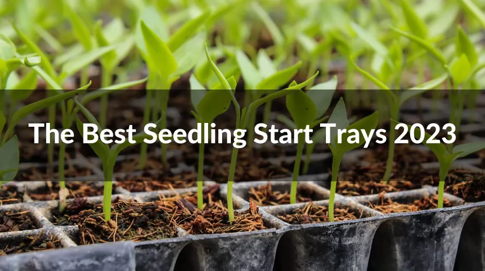 Seed Starting Trays